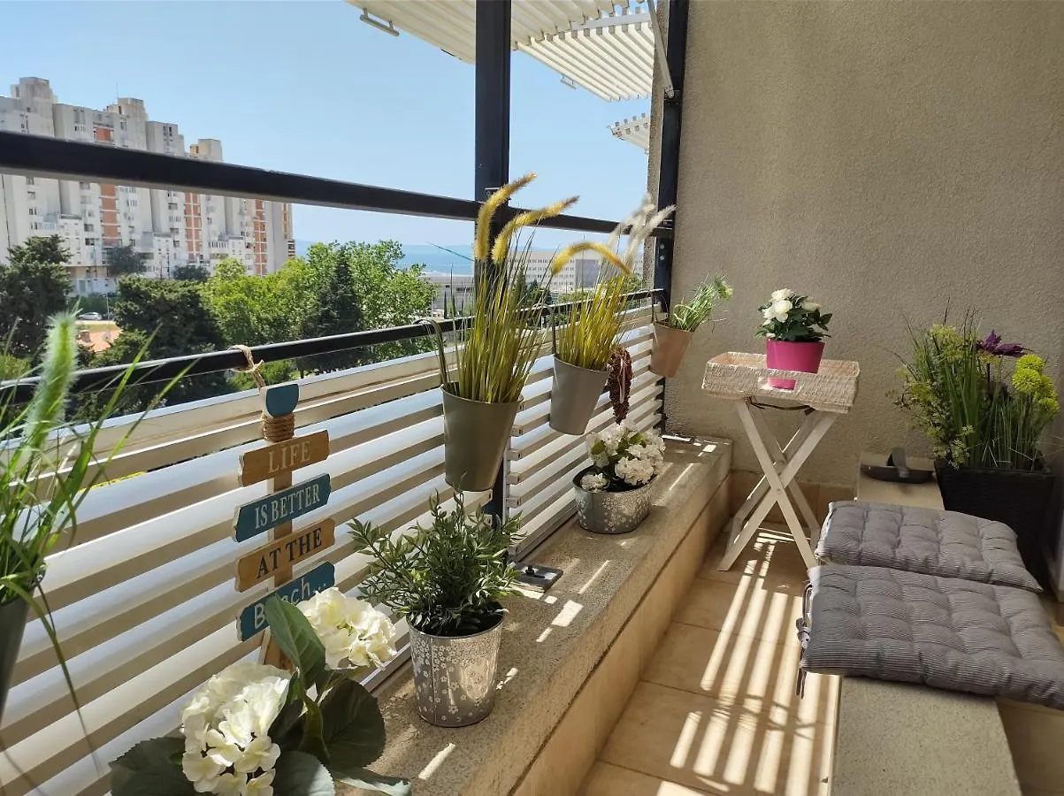 Top Apartment Sunny Day Split contacts