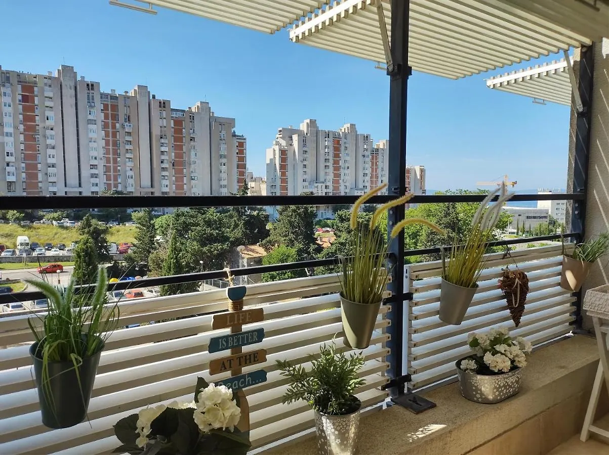 Top Apartment Sunny Day Split